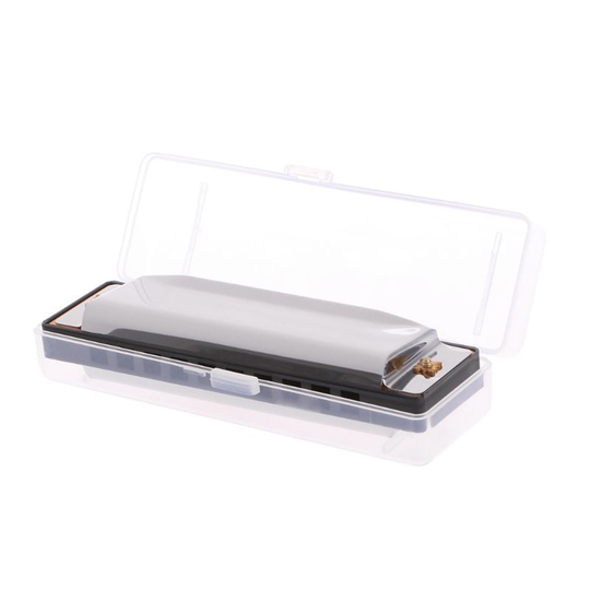 Blues Harmonica 10 Holes Toonsoort C Muziekinstrument Roestvrijstalen Met Case Educatief Speelgoed Met Case