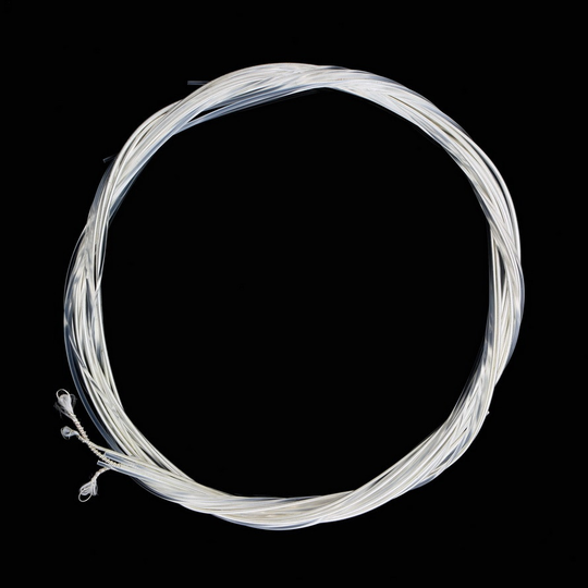 6Pcs Gitaar Snaren Nylon Zilveren Snaren Set Voor Klassieke Klassieke Gitaar 1M 1-6 E B G D Een E #