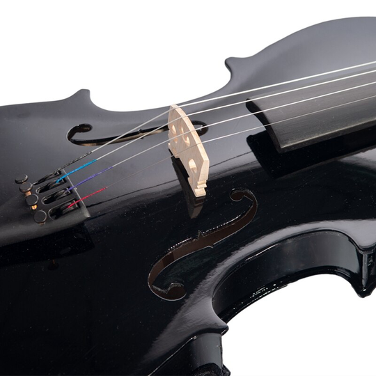 4/4 Black Maple Viool Met Bass Dul Top Legering Staart Viool