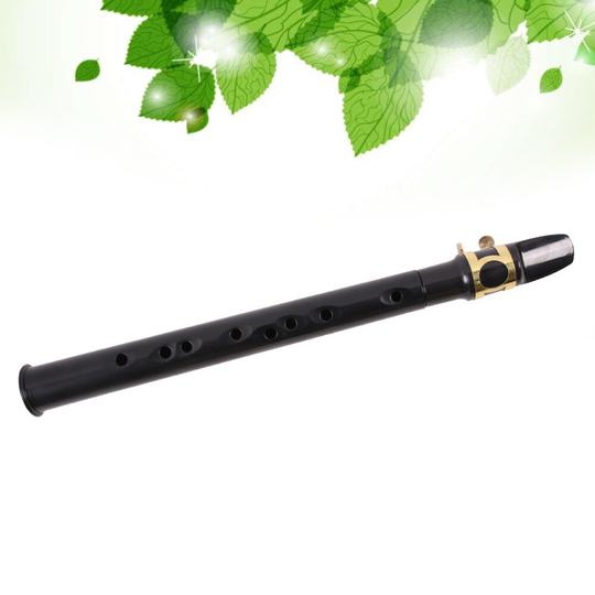 1Pc Draagbare Saxofoon Mini Musical Wind Instrumenten Pocket Trompet Voor Kinderen Beginner (Zwart)