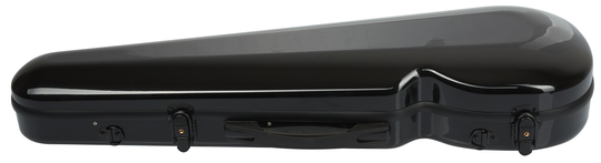 Palatino FG 240 BK Vln Case (ausgepackt)