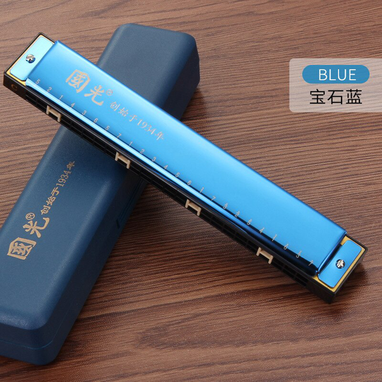 Guoguang 24 Holes Tremolo Harmonica C Key Polyfone Harmonica Mondharmonica Mondharmonica Met Case