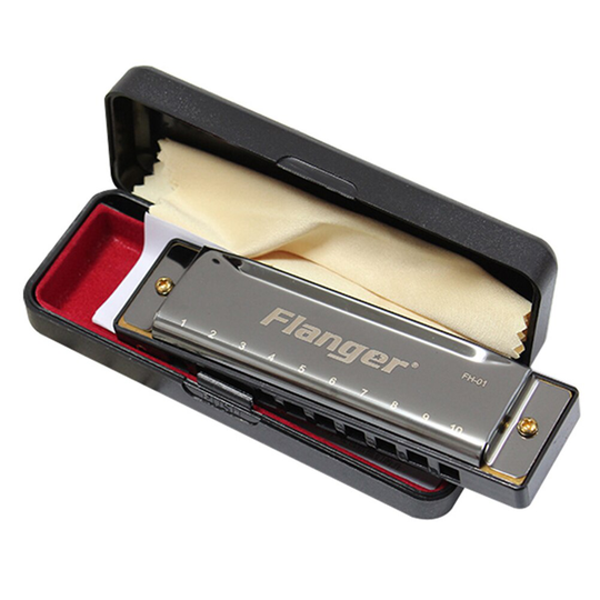 Professionele Blues Instrument In C 10 Holes Harmonica Prachtige Muziek Instrument Voor Beginner Studenten Kids Muzikanten (Zwart)