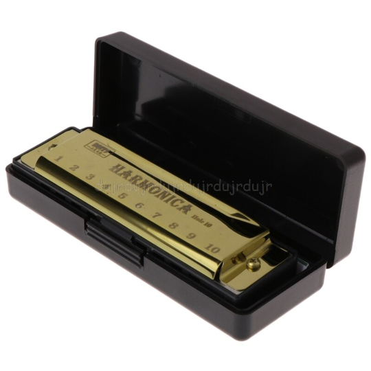 10 Gaten Sleutel Van C Blues Harmonica Muziekinstrument Educatief Speelgoed Met Case D11 19