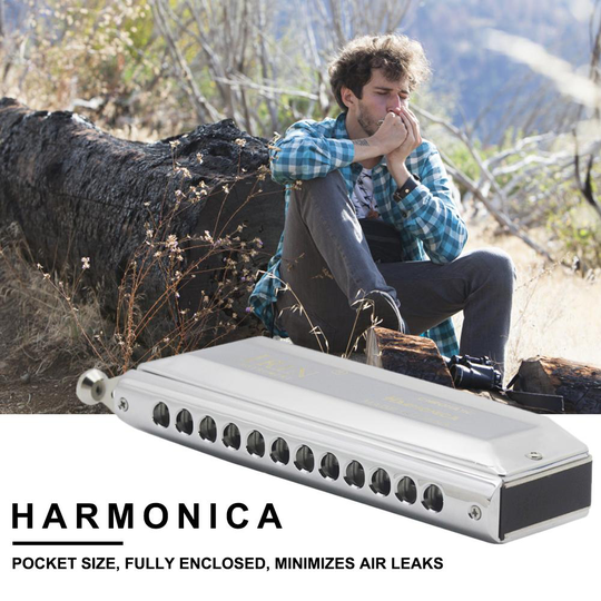 Orgel 12 Hole 48 Tone Wind Mond Chromatische Harmonica Harp Instrument Mondharmonica Met Case,Chrome Voor Beginner Muziekinstrument