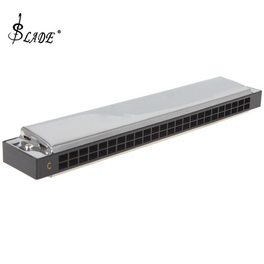 Swan 24 Gaten 48 Tones G/C Toets Metalen Professionele Harmonica