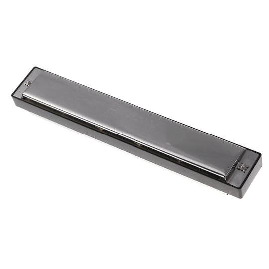 Tremolo Harmonica Mondharmonica 24 Dubbele Gaten met 48 riet van C Gratis Reed Wind Instrument met Silver Case