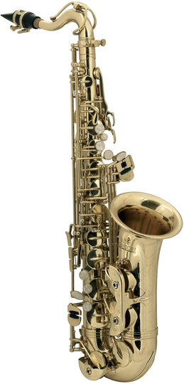 Roy Benson AS-201 Alt Saxophon