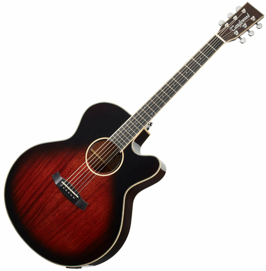 Tanglewood TW4 E SJ AVB Antique Violin