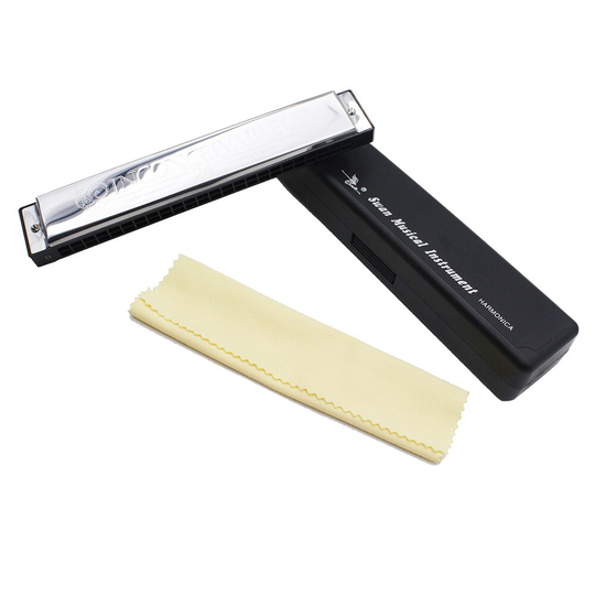 Key van D 24 Dubbele Gaten Tremolo Harmonica Mondharmonica met 48 Riet Houtblazers