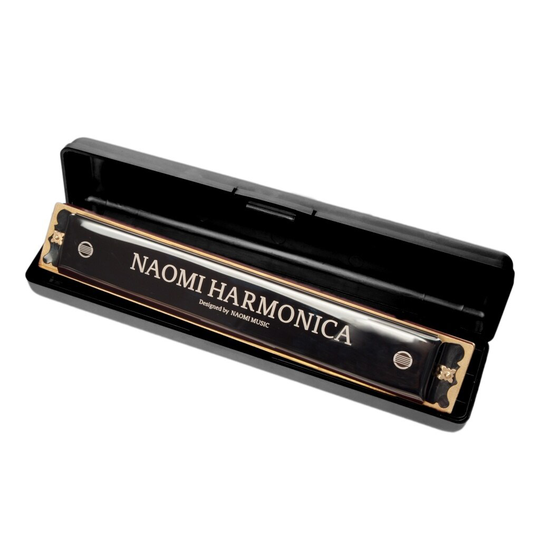 Harmonica C Tone 24 Holes Tremolo Harmonica Musical Armonica Harmonica Beginners Kinderen Harmonica H1/H2 Beschikbaar