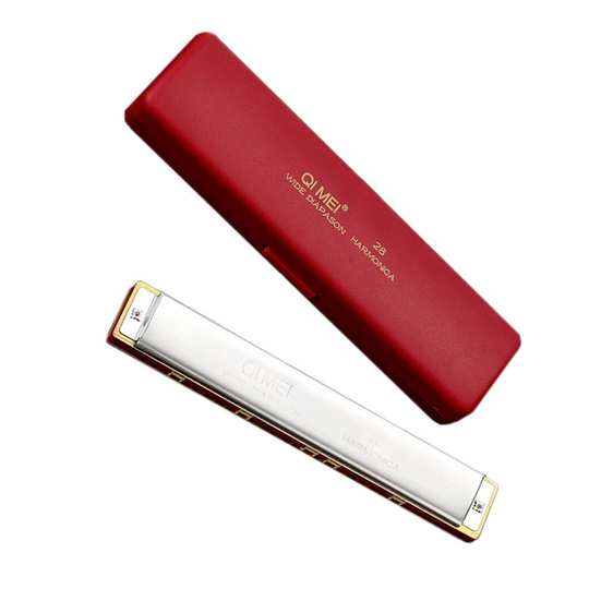 Harmonica Tremolo Muziekinstrument Vervanging C Harmonica 24 Gaten