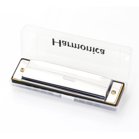 10-Hole Diatonische Harmonica Zilver Blues Diatonische Harp 10 Gaten Muziekinstrument Legering Mond Orgel