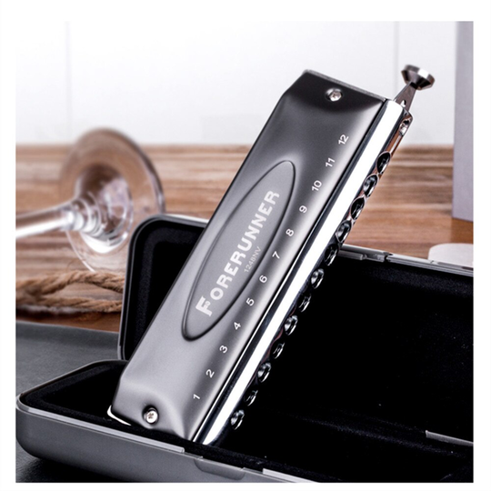 Oost Top Forerunner Chromatische Harmonica 12 Hole 48 Tone Mond Orgel Stijl Harmonica Voor Speler, Beginner, T1248NV