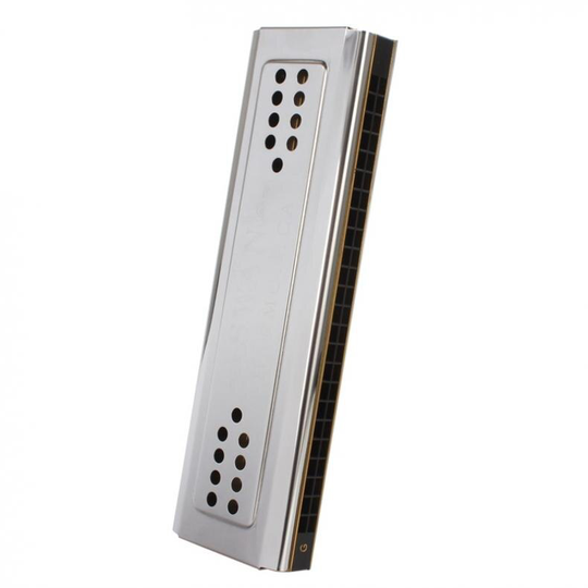 Professionele Swan 24 Holes Sleutel Van C & G Double-Side Tremolo Harmonica