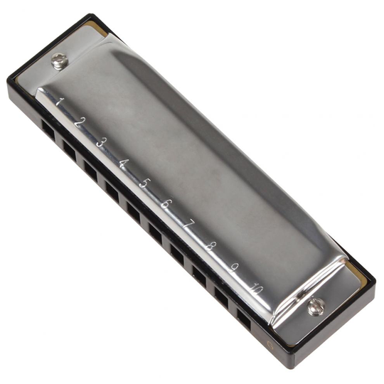 Zwaan Zilveren Metalen 10 Gaten 20 Tones G/C Toets Professionele Blues Harmonica