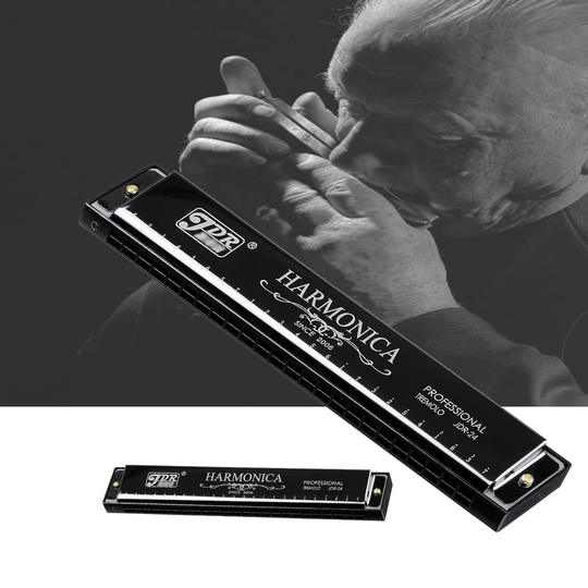 24 Holes Toonsoort C Mondharmonica Met Case Rvs 24 Gaten Harmonica Houtblazers Muziekinstrument Educatief Speelgoed Beginners