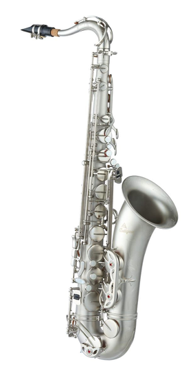 Antigua TS-4248-CN-GH B-Tenorsaxophon "Power Bell" Nickelfinish matt gebürstet