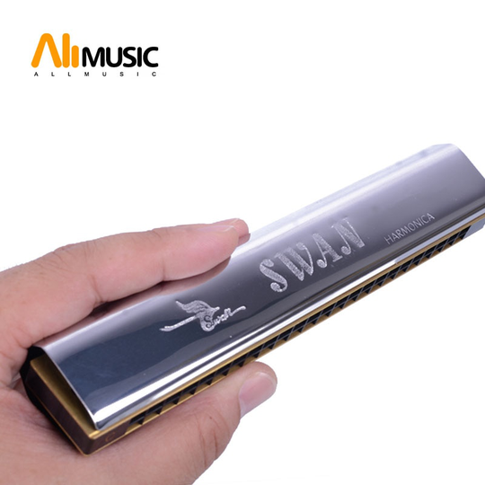 Swan Harmonica 24 Holes C-Tune Koperen Riet Plat Rvs Afdekplaat Echo Harmonica