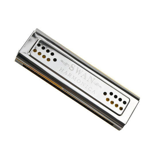 Beide Zijden Harmonica 24 Holes C En G Dubbele Tones Harmonica Mondharmonica Houtblazers Rvs & Abs Materiaal