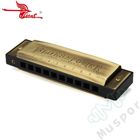 ZWAAN Brons 10 Gaten Diatonische Blues Harp Harmonica Sleutel van C 20 Tones