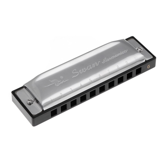 Diatonische Harmonica 10 Gaten Blues Harp Mondharmonica Sleutel van G Riet Instrument met Case Zilver