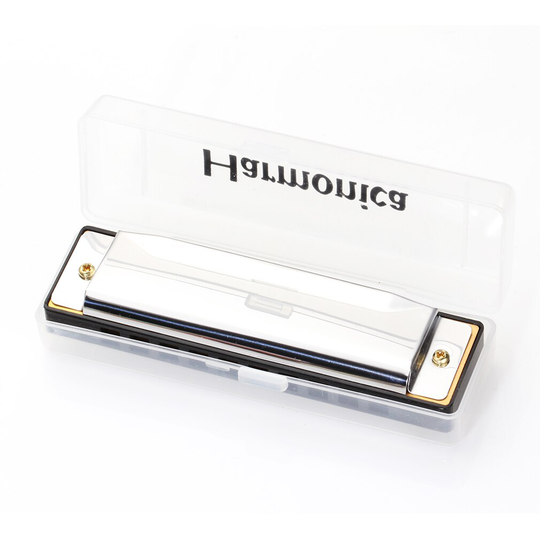 10-Hole Diatonische Harmonica Zilver Blues Diatonische Harp Harmonicon 10 Gaten Muziekinstrument Legering Harmonica Mondharmonica