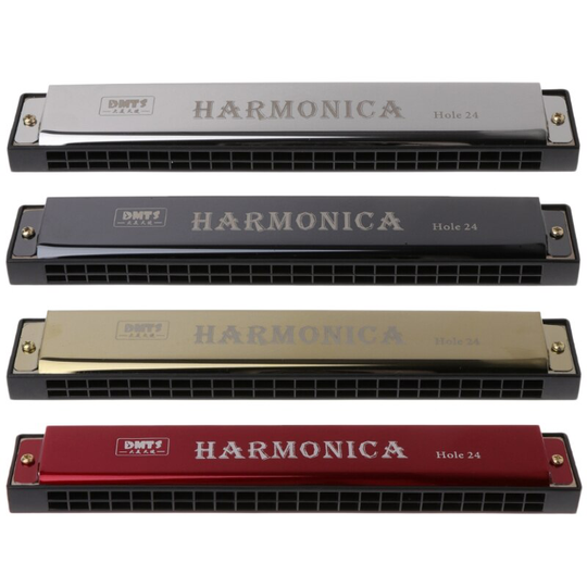 Professionele 24 Hole Harmonica Mond Metalen Orgel Voor Beginners 53CD