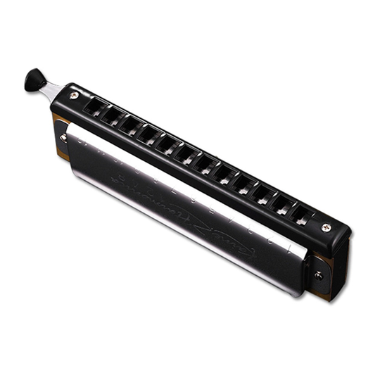 MoonEmbassy 12 Gaten Chromatische Harmonica C Key 48 Tone 1248 Harp Houtblazers