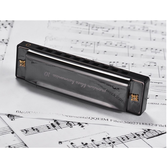 Sleutel Van C Diatonische Harmonica Mouthorgan Met Abs Riet Spiegel Oppervlak 10 Holes Blues Harmonica Perfect Voor Beginners