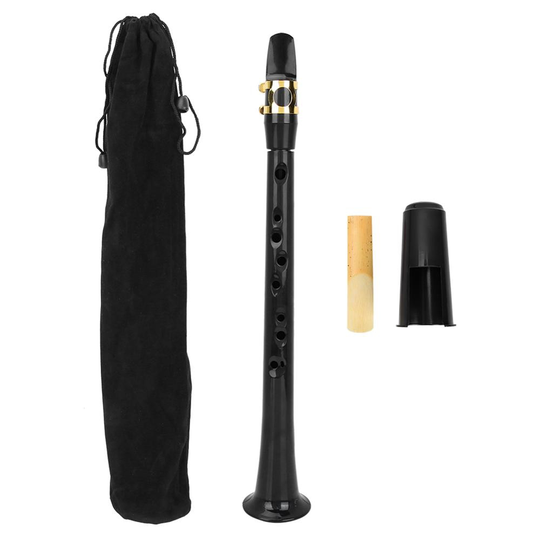Pocket Saxofoon Praktijk Sax Met Riet Zak Houtblazers Instrument Bb Tune Mini Saxofoon Voor Beginners