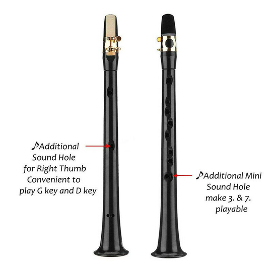 Draagbare Mini Pocket Saxofoon Little Sax Alto Mondstuk Eenvoudige Muziekinstrument ZJ55