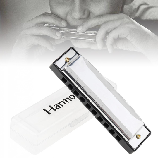 10 Holes Blues Harmonica Muziekinstrument Roestvrijstalen Mond Orgel Kinderen Muziekinstrument Educatief Met Case