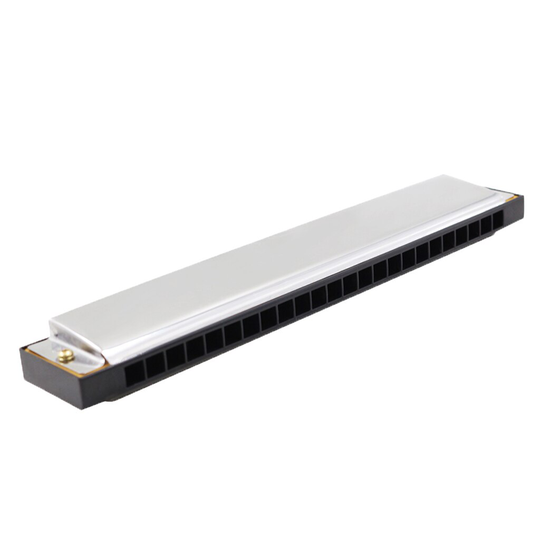 24-Hole Mondharmonica C Harmonica Tremolo Harmonica Miniatuur Instrument Luthiers Party W/Doos Voor Kinderen Beginners