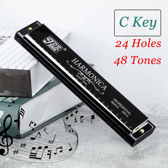 Professionele 24 Holes Harmonica C Key Messing Rvs Metalen Harmonica Met Case Musical Houtblazers Instrument Voor Beginners