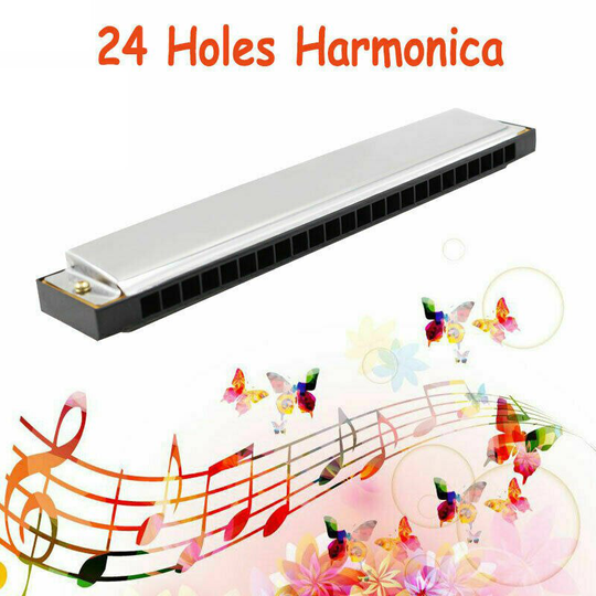 24 Hole Harmonica Key C Tremolo Harmonica Mondharmonica Voor Beginner Hobby Training Muziekinstrument Met Clear Opbergdoos