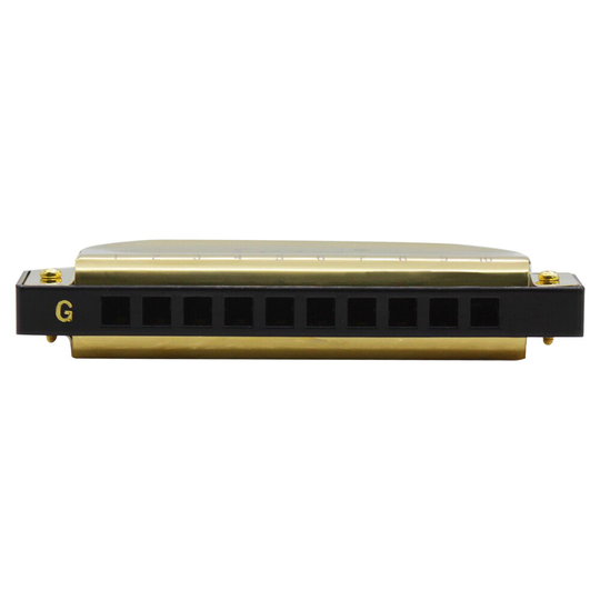 IRIN G-30 Mouthorgan 10 Gaten 20 Tones Sleutel van G Blues Harmonica met ABS Doos voor Beginners
