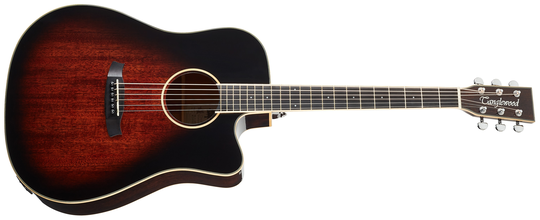 Tanglewood TW5 E AVB