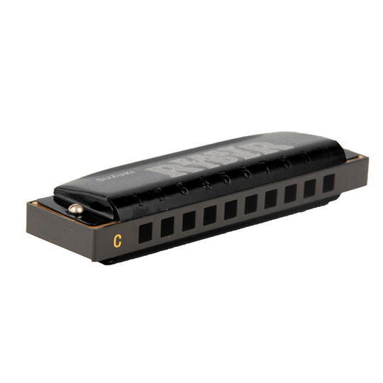 Suzuki EZR-20 Easy Rider 10 Gat Diatonische Blues Harmonica/ Folk Master Standaard Blues Harp (Sleutel Van C Een G)