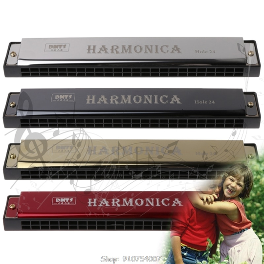 Professionele 24 Hole Harmonica Mond Metalen Orgel Voor Beginners N12 20