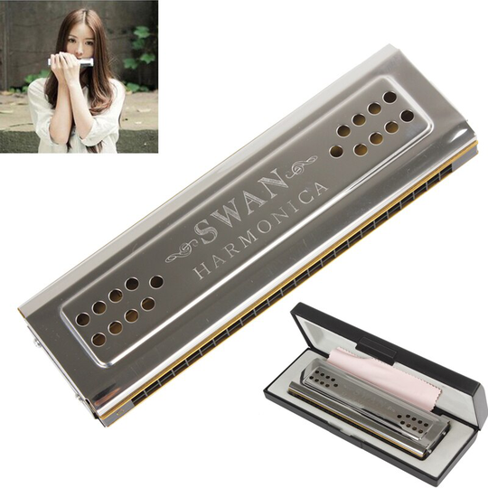 Professionele Swan 24 Holes Sleutel Van C & G Double-Side Tremolo Harmonica Muziekinstrument