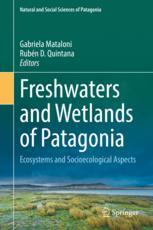 Freshwaters and Wetlands of Patagonia