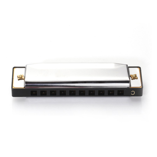 Sale10-Hole Diatonische Harmonica Zilver Blues Diatonische Harp Harmonicon 10 Gaten Muziekinstrument Legering Harmonica Mondharmonica
