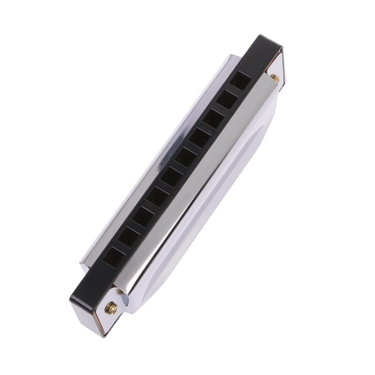 Blues Harmonica 10 Holes Toonsoort C Muziekinstrument Roestvrijstalen Met Case 62KF