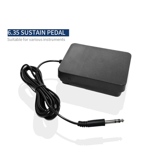 Universele Elektronische Piano Keyboard Foot Sustainpedaal Synthesizers Voor Casio Yamaha All Roll Up Piano Muzikale Acessories Gereedschap