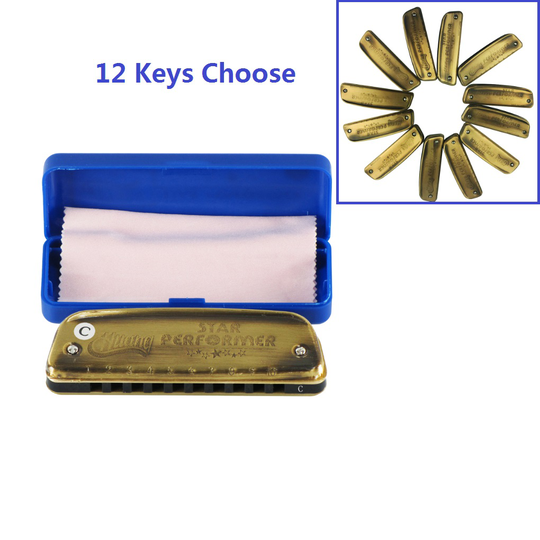 1 Pcs Huang 10 Holes Blues Harmonica Diatonische Harp Mondharmonica Sleutel Van C, A, B, d, E, F, G, Ba, Bb, Worden, C # (Bd), F # (Bg) Kiezen