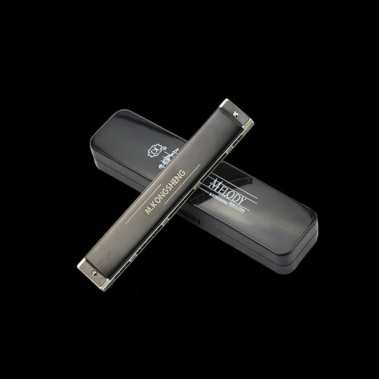 24 Gaten/Boringen Tremolo Harmonica Key C voor Beginners Harp Mondharmonica Houtblazers Muziek Speelgoed voor Kids ZWAAN