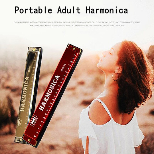 Professionele 24 Holes Harmonica C Key Metalen Harmonica Houtblazers Instrument Voor Beginners Met Doos 5 Kleur