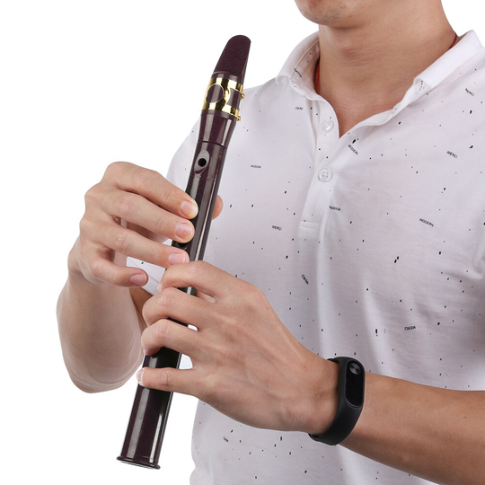 8-Hole Mini Pocket Saxofoon Set Alto Abs Sax Met 5 Ligatuur Riet Vinger Grafieken Houtblazers Muziekinstrumenten Accessoires