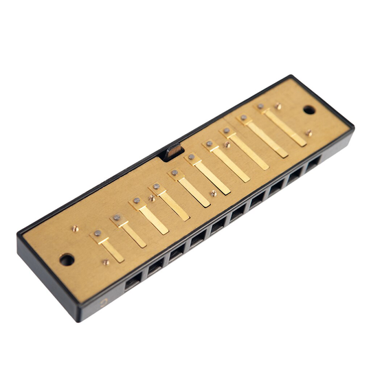 Harmonica Harp 10 Gaten Cover C/Sleutel Voor Kids Muziek Leren Speelgoed